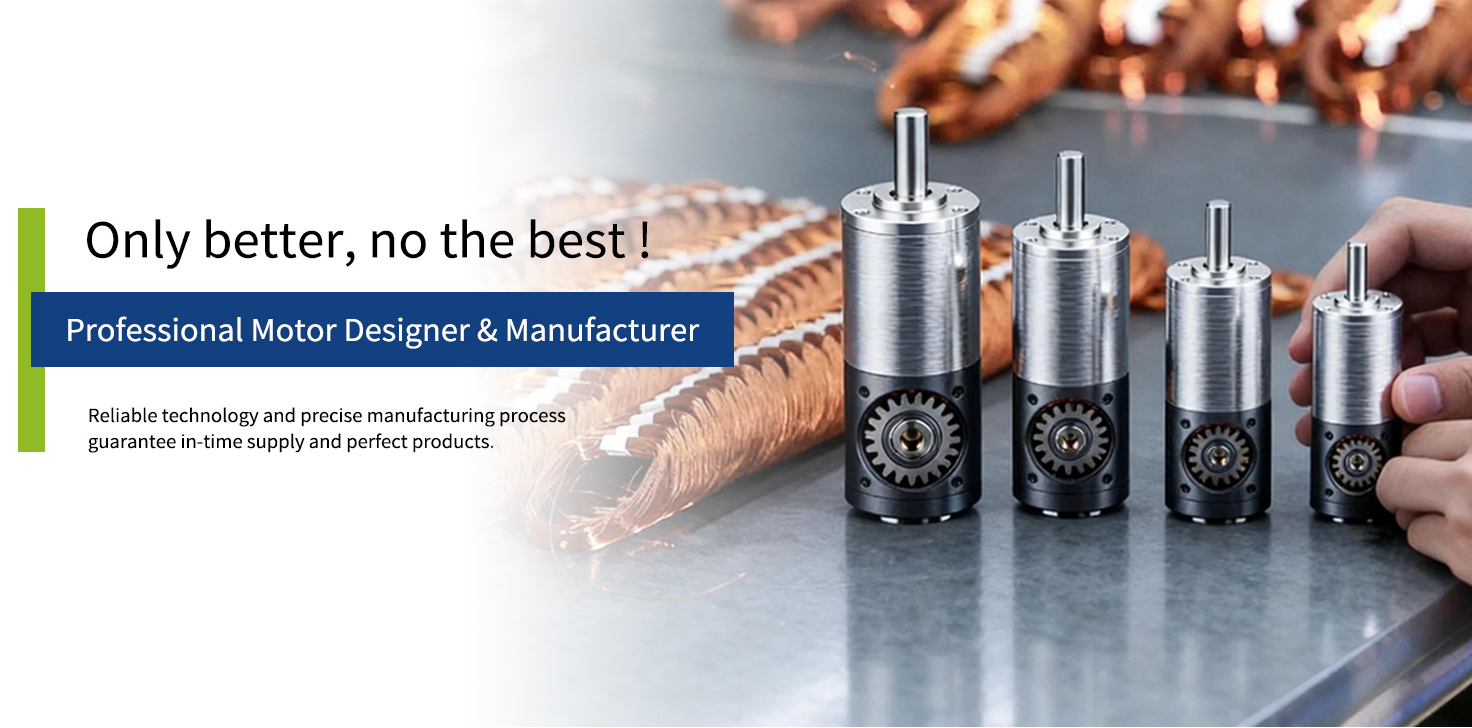 Professional Motor Designer and Manufacturer