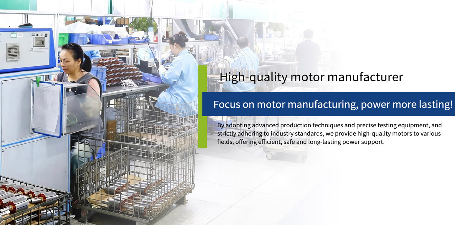 Professional Motor Designer and Manufacturer