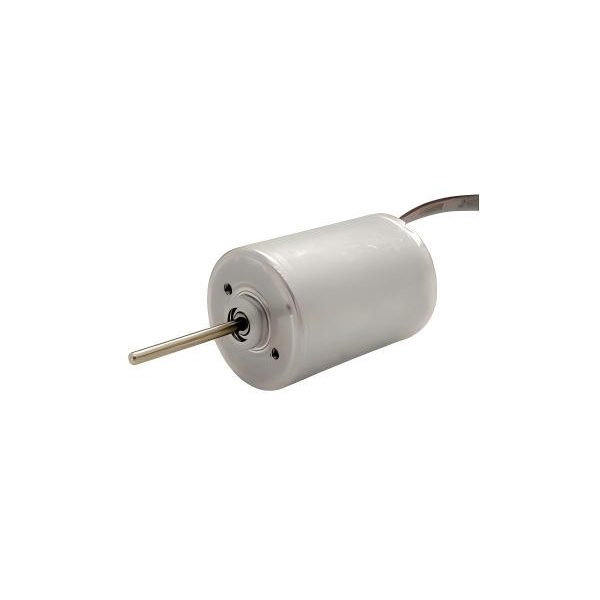 YDL-BL DC Motor Model:25