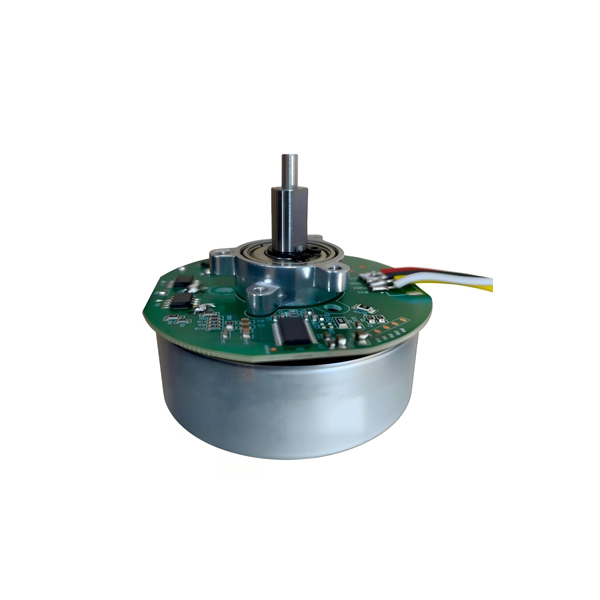 YDL-BL DC Motor Model:50/65