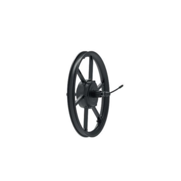YDL-110021.D